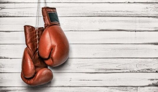 How Beginners Can Buy the Right Boxing Gloves